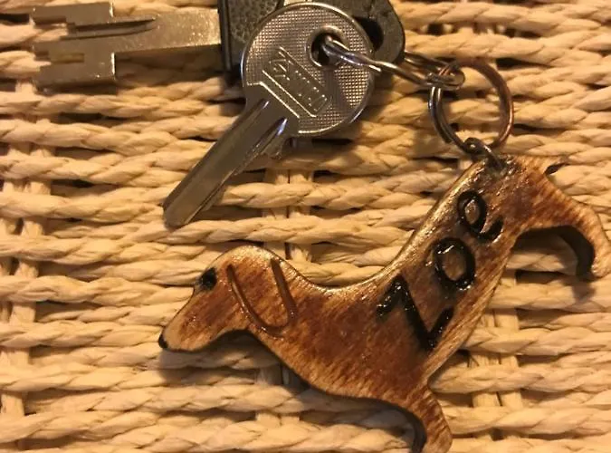 Apartmán La Casa Di Zoe Campiglia Marittima