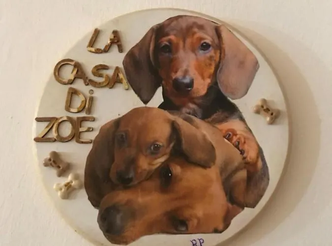 La Casa Di Zoe Apartmán *